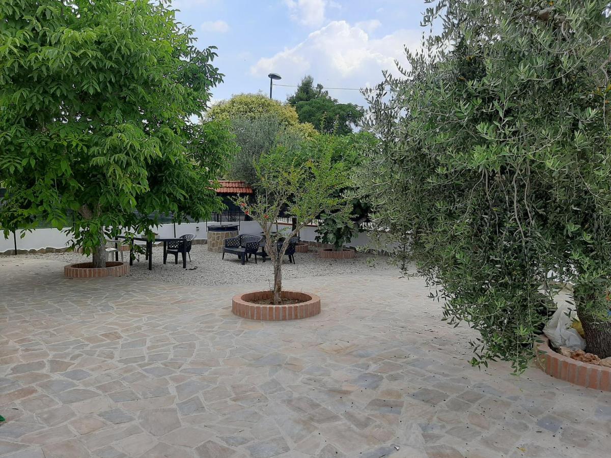 La Casa Di Ely *